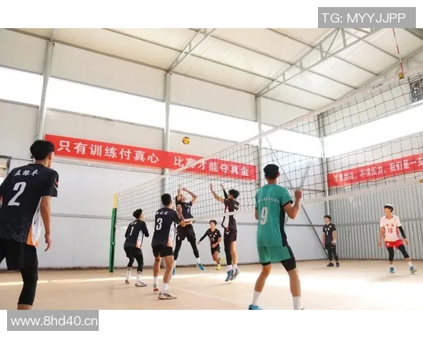 排球心理素质评比揭晓上海排球队荣登第六名榜单